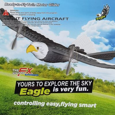 Temps de charge Environ 90 minutes 2024 Fx-651 Fx Rc Avion 2.4g 405mm Simulation en portée d'aile Aigle Avion Jouets planeurs Offres pour enfants
