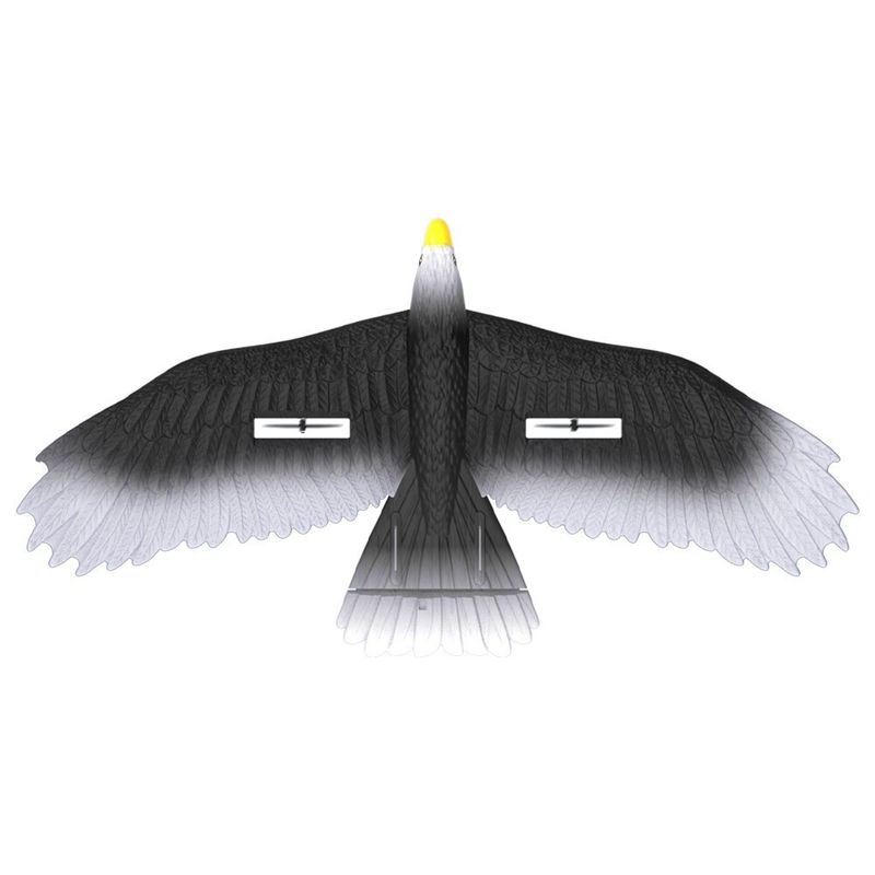 3-Ch RC Bird Avion Fly Toy RC Avion EPP Modèle Eagle Jouets Planateur Jet Contrôleur Batterie 4 * 1.5AAA Batterie non incluse